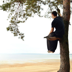 В мире скитаний