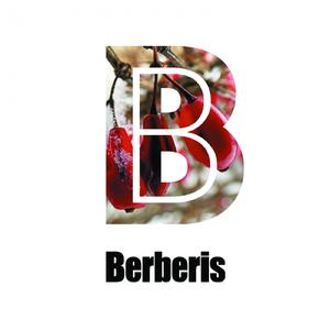 Flash (Original Mix)