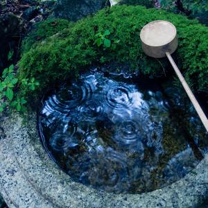 轻轻弥漫（放松纯音乐）