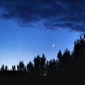 忘了（翻自 杨丞琳）