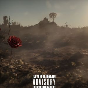 寂寞 枯萎 凋零