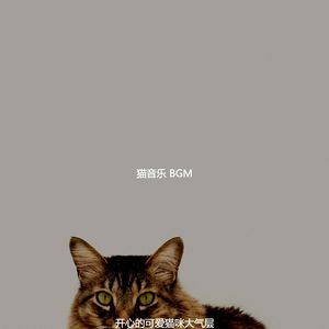 精彩可爱猫咪环境