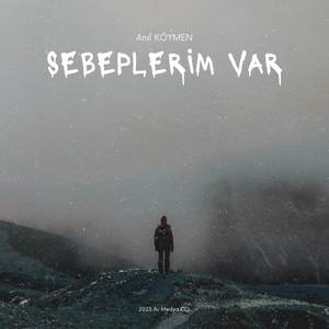 Sebeplerim Var