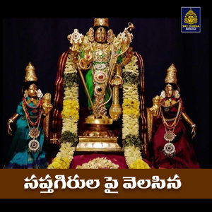 Sapthagirula Pai Velasina