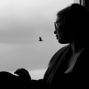 Раненой птицей