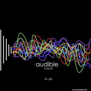 Audible Colours (RKane Remix)