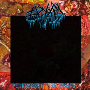 Gangrenous Limb Amputation