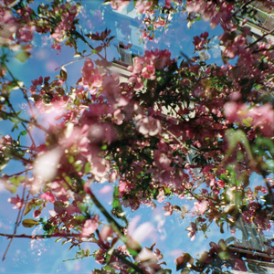 A Secret Christian Influence (Gabber Modus Operandi Remix)