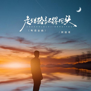 走错路记得回头 (DJBanan粤语金曲版)