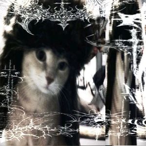 "双向" - SASIOVERLXRD x BOBBYNOPEACE 旋律孟菲斯 type beat