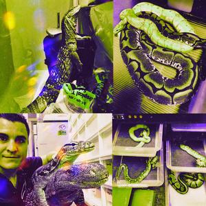 Lil Yoda in Wonderland (with mini & zzzYz)