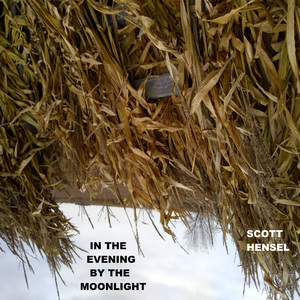 In the Evening by the Moonlight