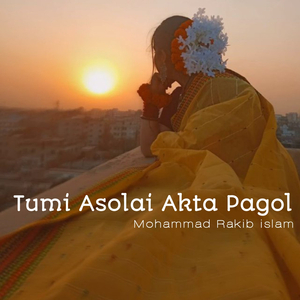 Tumi Asolai Akta Pagol