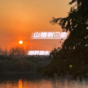 山楂树の恋（翻唱）