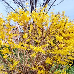 There is no assurance