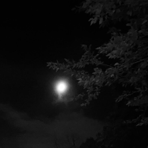 I Like When You Get Faded