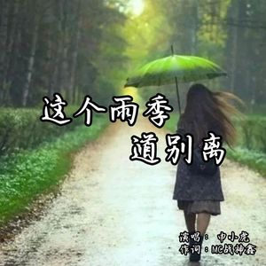 这个雨季道别离