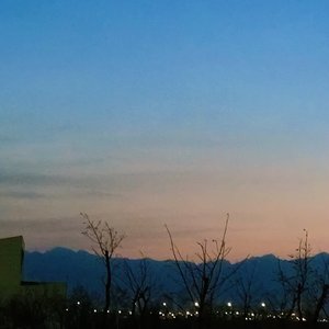 斑马斑马（cover宋冬野）