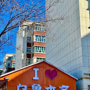 Shirinjan/甜蜜的爱人