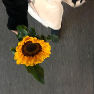 加油！（翻自 林俊杰）