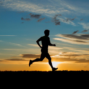 Don's Run