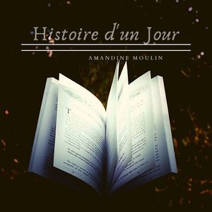 Histoire d'un Jour