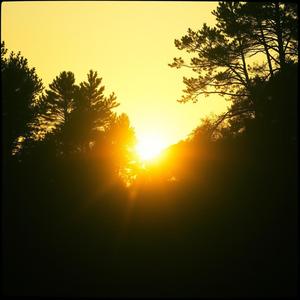 最暖的那一道光！