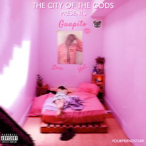 Stone Cold Steve Austin