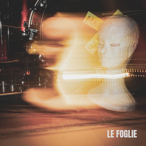 Le foglie