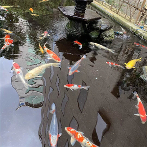 混着就行咯