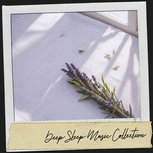 Tranquility's Harmony