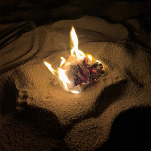 TianGou（prod. Gr33nart Beats）