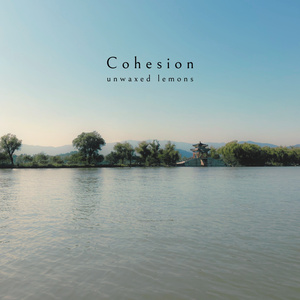 Cohesion