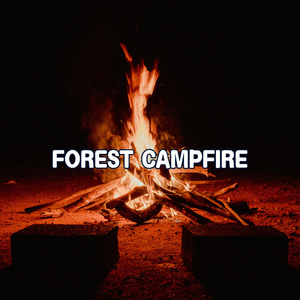 Relaxing Campfire Embers: Sleep Sounds with the gentle glow and crackle of a campfire