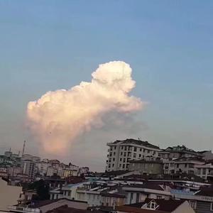 微笑调查队（中填翻唱