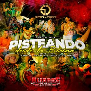 Cumbias (feat. Aliados del Patron)