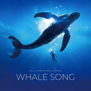 Whale Song