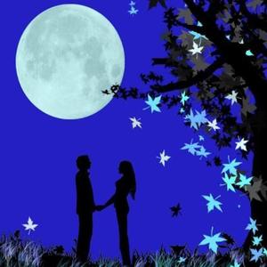 花前月（剑网三藏秀）