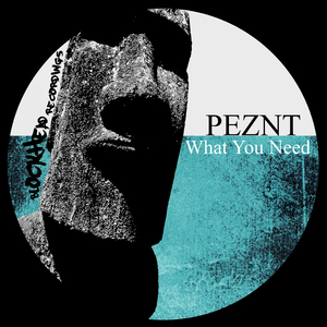 What You Need (Original Mix)