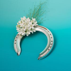 下等马（Half-acoustic Ver.）