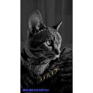 過去に戻れるなら戻りたい,