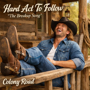 Hard Act To Follow (The Breakup Song)