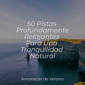 El último lamento de la lágrima escarlata