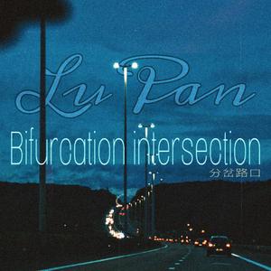 分岔路口（中文版Remix）（翻自 BLOO）