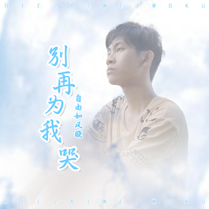 别再为我哭