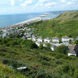 Holding Hopes Not Everything Is Lost