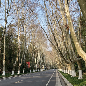 Dilemma（rap 版）