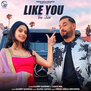 Like You (Tere Jaisi)