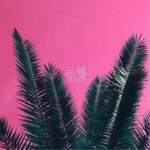 周星星-足够（维森 / adc remix）