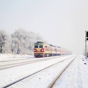 Merry Christmas Mr. Lawrence（琵琶×吉他）